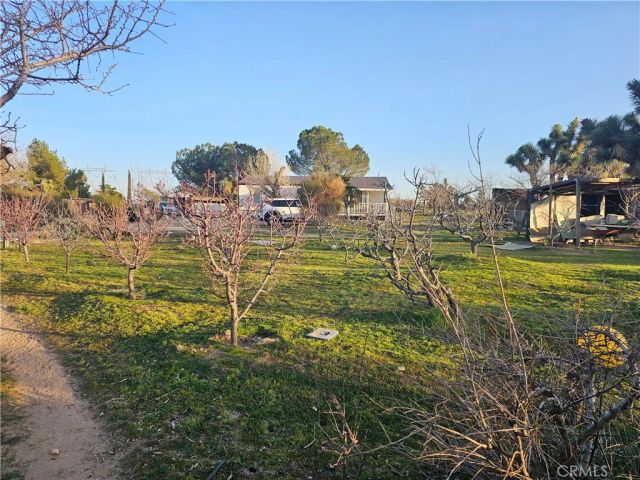 9878 Wilson Ranch, Phelan, CA 92371