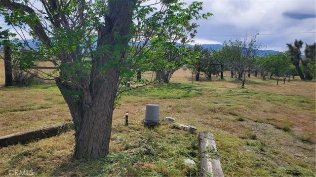 9878 Wilson Ranch, Phelan, CA 92371