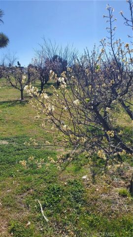 9878 Wilson Ranch, Phelan, CA 92371