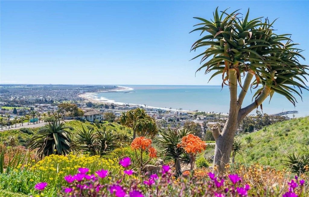 Image 41 of property listing at 732 Poli Street, Ventura, CA 93001