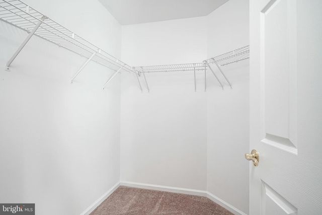 19 JOANNE DR, Sicklerville, NJ 08081