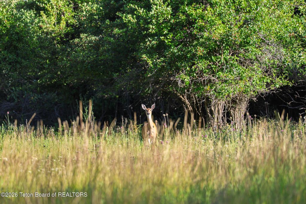 S 3200 S, Rexburg, ID 83440 photo 5