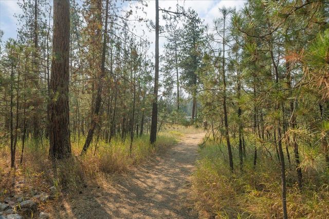27415 N Bear Lake Rd, Chattaroy, WA 99003