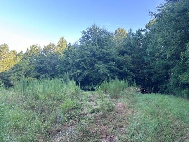 1069 Harbert Valley Road, Toccoa, GA 30577
