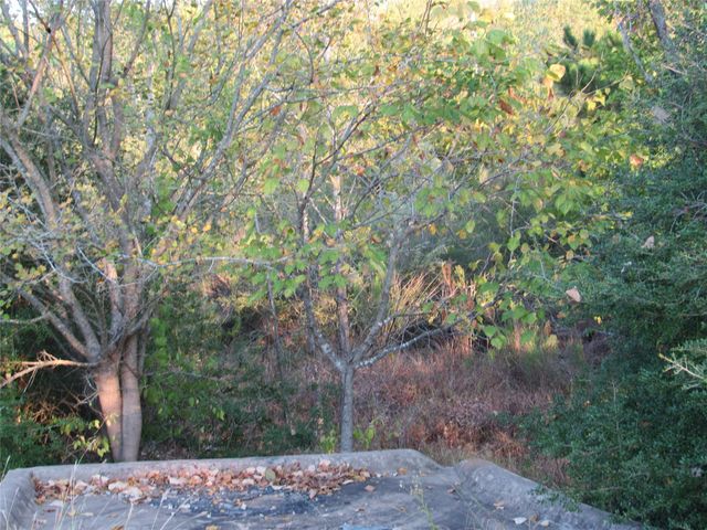 002 Kipahulu LN, Bastrop, TX 78602