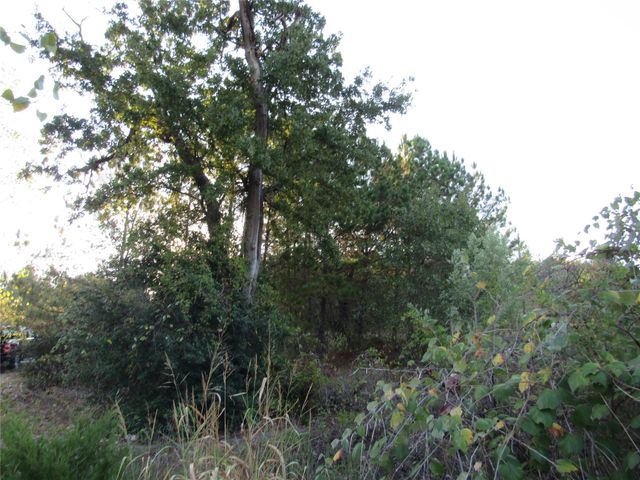 002 Kipahulu LN, Bastrop, TX 78602