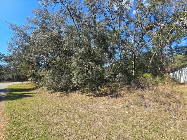 8467 N EMPIRE AVENUE, Citrus Springs, FL 34433