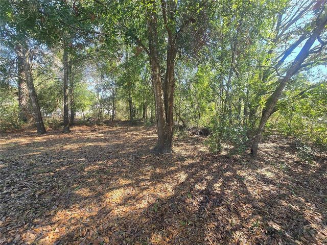 8467 N EMPIRE AVENUE, Citrus Springs, FL 34433
