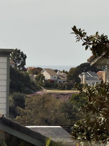 1705 Hawk View Dr, Encinitas, CA 92024