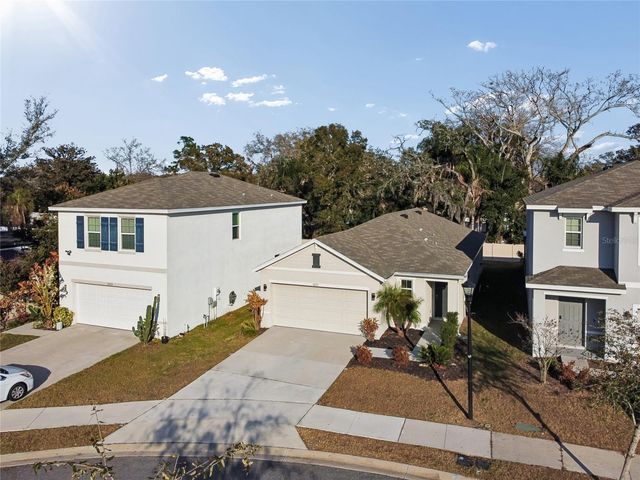 5221 HILLSIDE MEADOW PLACE, Tampa, FL 33610