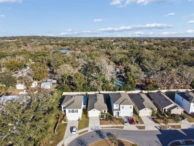 5221 HILLSIDE MEADOW PLACE, Tampa, FL 33610