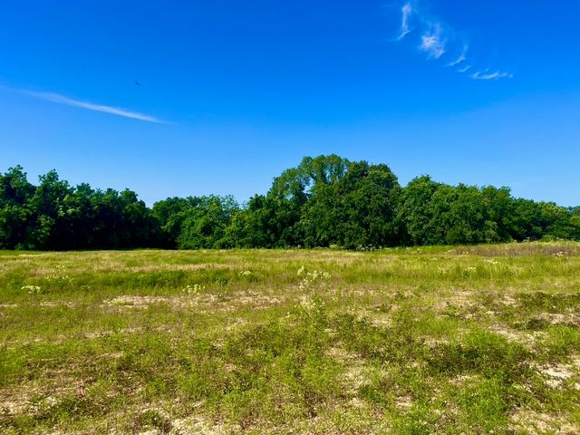 Lot 65 Kilkenny Road, Poolville, TX 76487