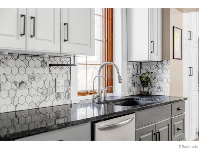 742 N Downing Street, Denver, CO 80218