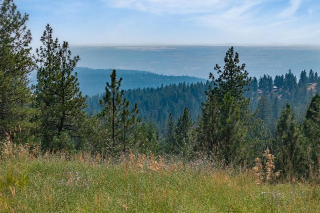 NNA Blue Ridge Way, Deer Park, WA 99006 property photo
