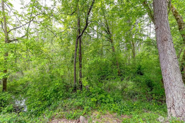 4911 255th Street Ct E, Graham, WA 98338