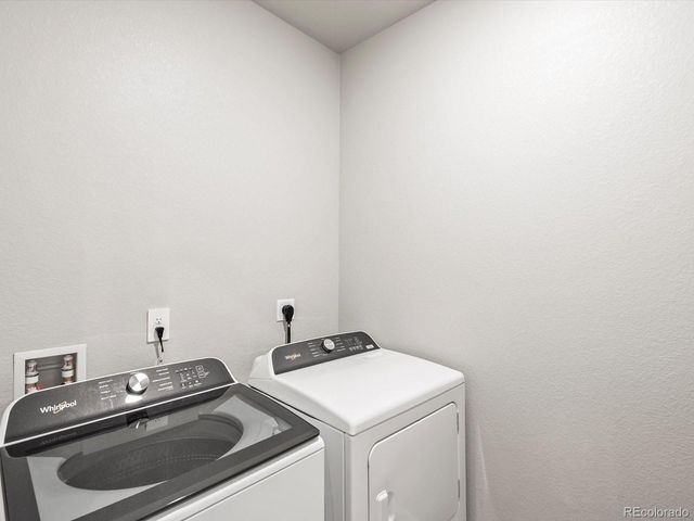 1603 Nathan River Drive, Windsor, CO 80550