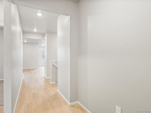 1603 Nathan River Drive, Windsor, CO 80550