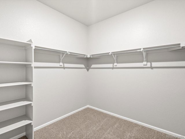 1603 Nathan River Drive, Windsor, CO 80550