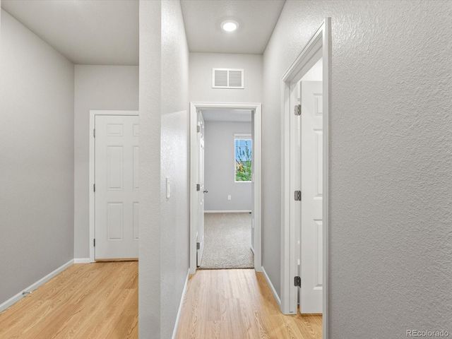 1603 Nathan River Drive, Windsor, CO 80550