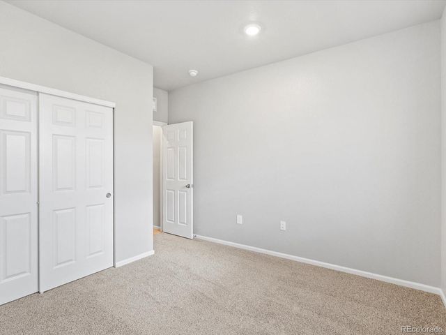 1603 Nathan River Drive, Windsor, CO 80550