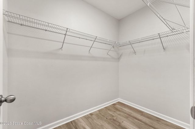869 Fiddleleaf Circle, Melbourne, FL 32904