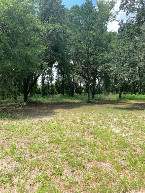 SW 19TH CIRCLE, Trenton, FL 32693
