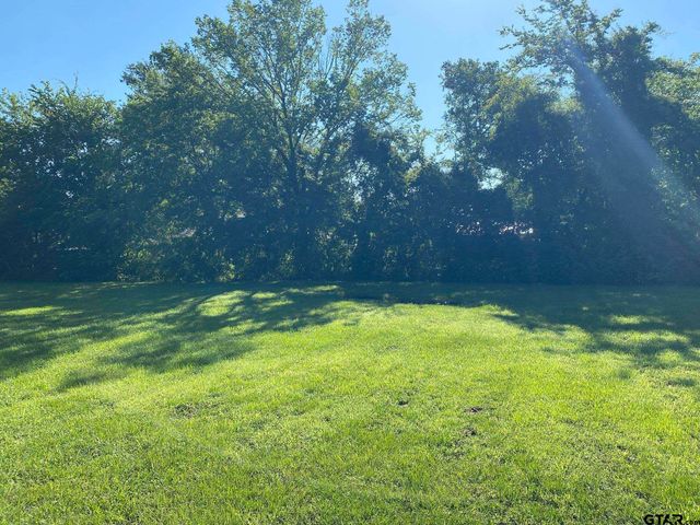 505 Red Springs Avenue, Mt Pleasant, TX 75455