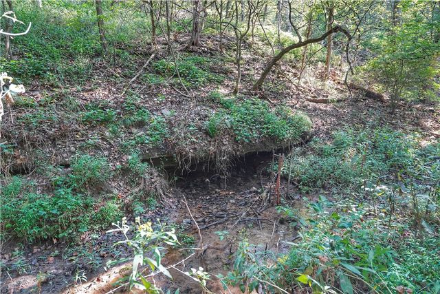 24530 & 24540 Coon Hollow Road, Gentry, AR 72734