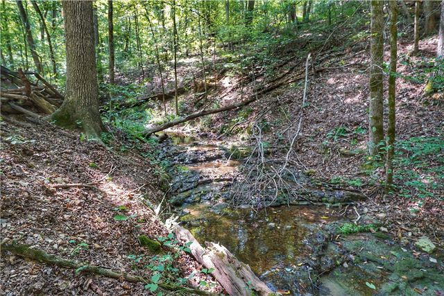 24530 & 24540 Coon Hollow Road, Gentry, AR 72734