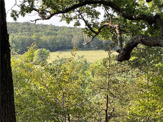 24530 & 24540 Coon Hollow Road, Gentry, AR 72734