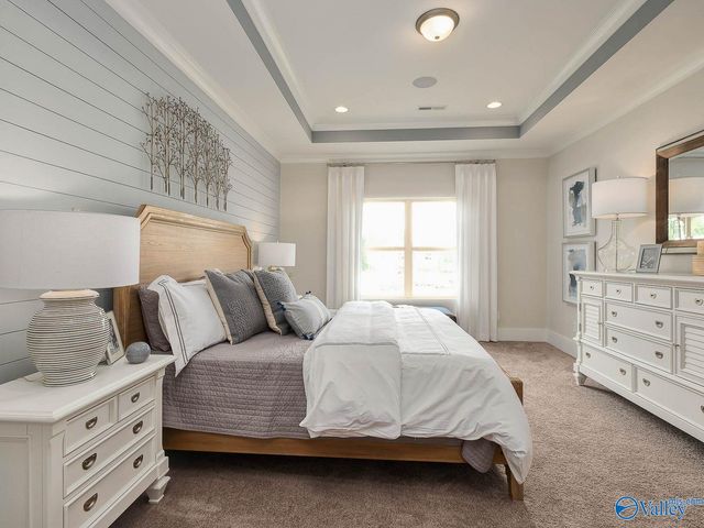 110 Cotita Drive, Toney, AL 35773