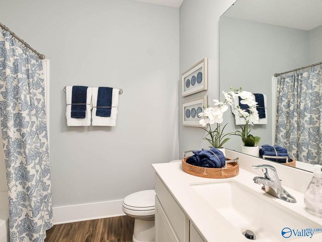 110 Cotita Drive, Toney, AL 35773