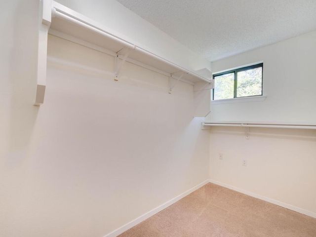 1607 Woodlawn BLVD Guest, Austin, TX 78703