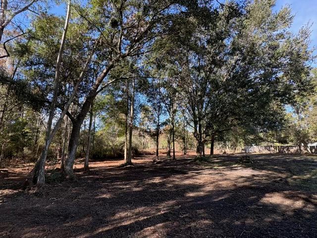 HAMMOCK LOOP, Polk City, FL 33868