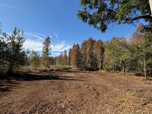 HAMMOCK LOOP, Polk City, FL 33868