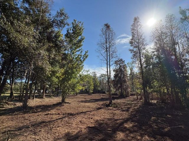 HAMMOCK LOOP, Polk City, FL 33868