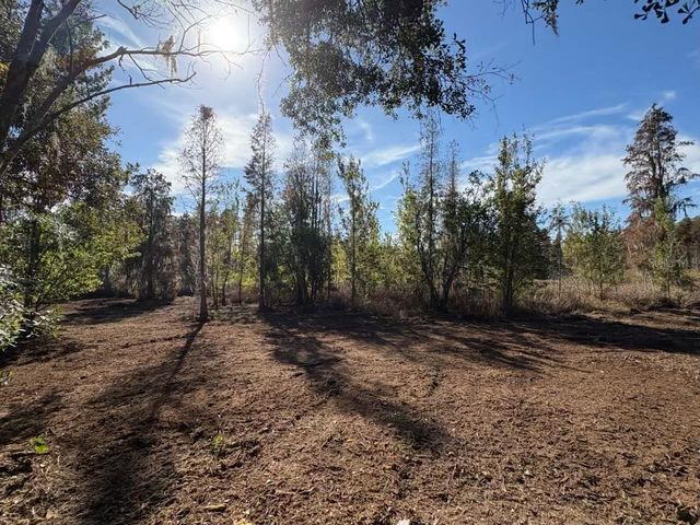 HAMMOCK LOOP, Polk City, FL 33868