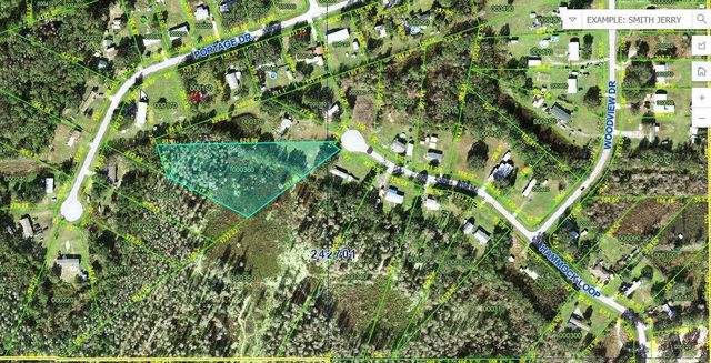 HAMMOCK LOOP, Polk City, FL 33868