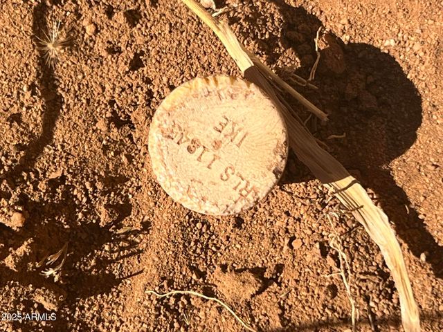 TBD E Ave De Jicarilla -- 1, Hereford, AZ 85615