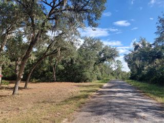 GRINDSTONE DRIVE, Webster, FL 33597