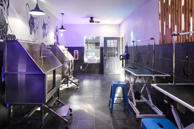 12001 Metric BLVD 503, Austin, TX 78758