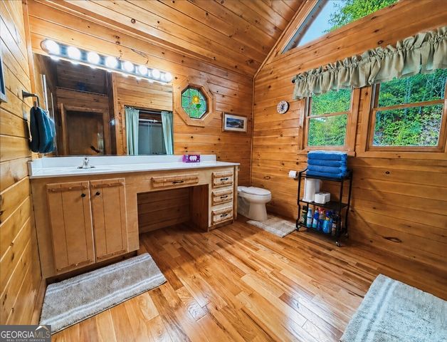 260 Down Under Road, Blue Ridge, GA 30513