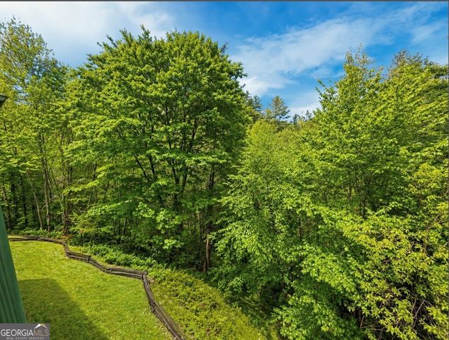260 Down Under Road, Blue Ridge, GA 30513