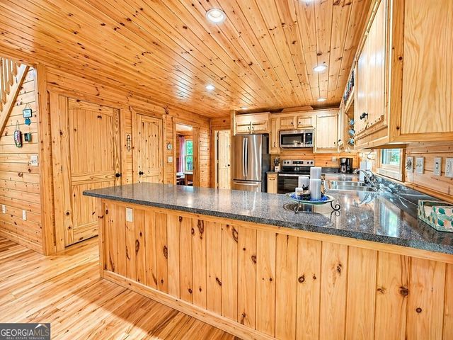 260 Down Under Road, Blue Ridge, GA 30513