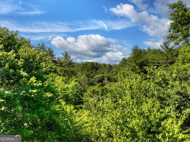 260 Down Under Road, Blue Ridge, GA 30513