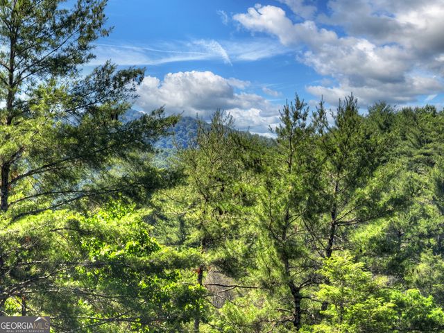 260 Down Under Road, Blue Ridge, GA 30513