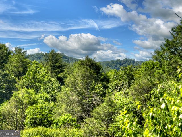 260 Down Under Road, Blue Ridge, GA 30513