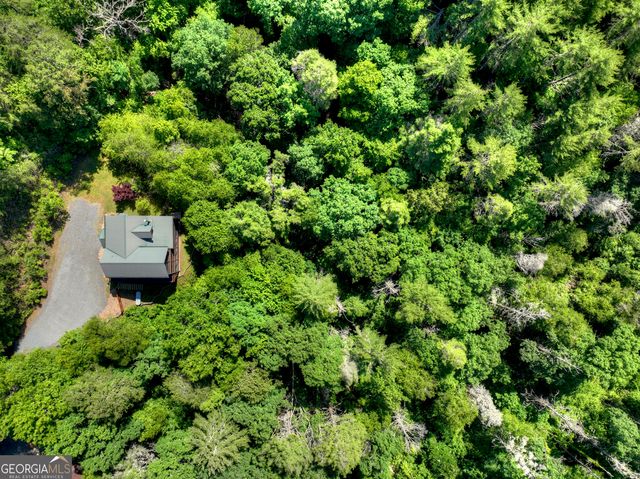 260 Down Under Road, Blue Ridge, GA 30513