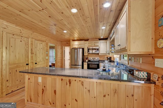 260 Down Under Road, Blue Ridge, GA 30513