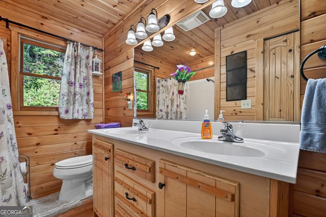 260 Down Under Road, Blue Ridge, GA 30513